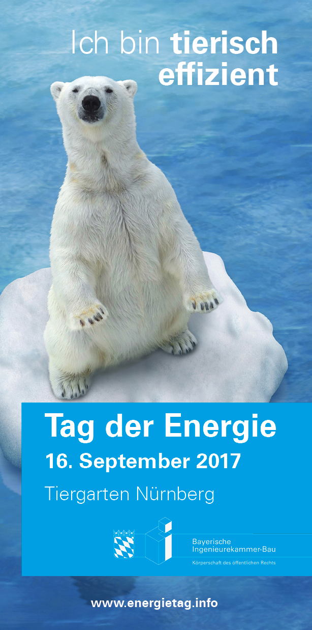 Flyer Tag der Energie zum Download