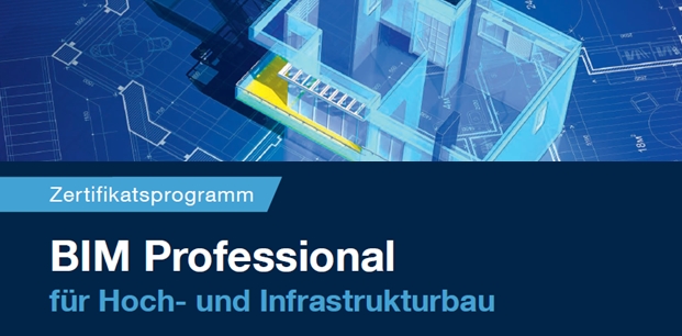 BIM Professional