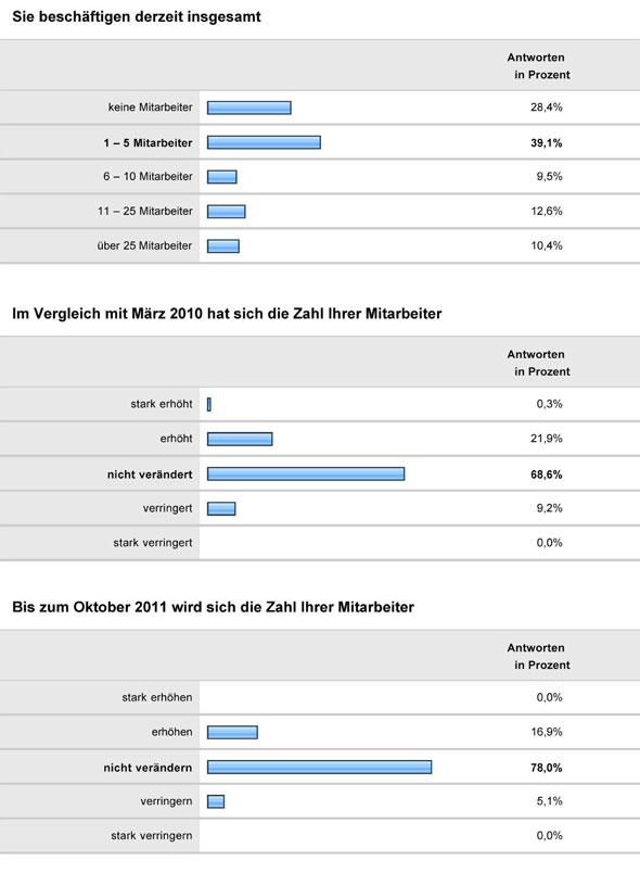 Konjunkturumfrage 2011