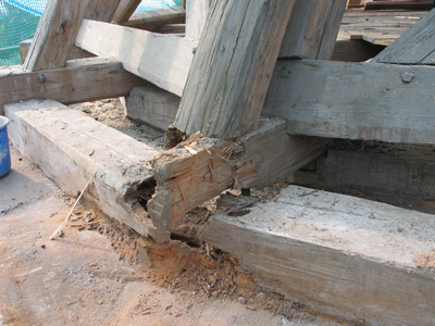 Mauerschwelle, Zerrbalken und Sparrenfu� durch Sch�dlingsbefall gesch�digt