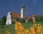 Klosterkirche St. Felix in Neustadt an der Waldnaab